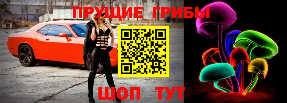 Галлюциногенные грибы GOLDEN TEACHER Конаково